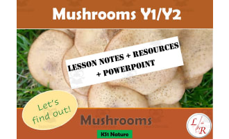 Mushroom Science Lesson PowerPoint and PDF for Y1