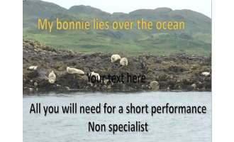 My Bonnie Musical Lesson Plan Bundle