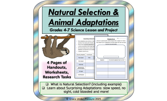 Natural Selection & Animal Adaptations Worksheets 4th 5th 6th 7th Gr