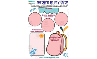 Nature In My City Rewilding Activity