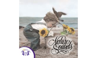 Nature Sounds