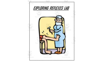 Nervous System ~ Exploring Reflexes Lab