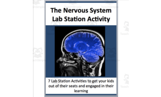 Nervous System – Lab Station Activity