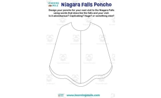 Niagara Falls Activity