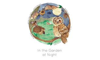 Nocturnal Garden Wildlife Poster