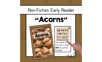 Non-Fiction Early Reader: Acorns