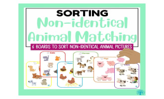 Non-identical Animal Matching