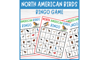 North American Birds Bingo Backyard Bird Activities & Nature Education