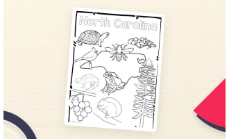 North Carolina State Symbols – Clip Art Set