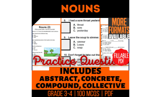 Nouns Practice Questions - Grade 3-4 Grammar (Fillable PDF)