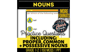 Nouns Practice Questions - Grades 1-2 Grammar (PPT)