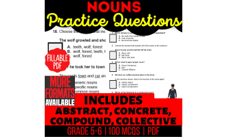 Nouns Practice Questions - Grammar Grade 5-6 (Fillable PDF)