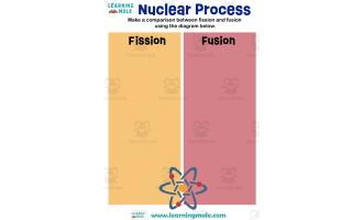 Nuclear Process Activity
