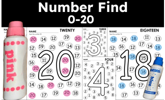 Number Hunt 0-20