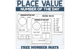 Number of the Day - 2 Digit Place Value