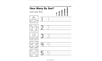 Numbers and Sets 1-20 Printable Workbook