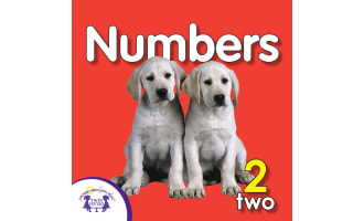Numbers Songs