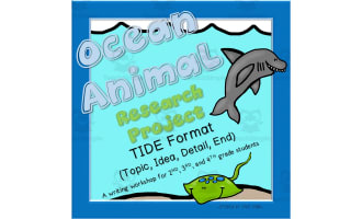 Ocean Animal Report
