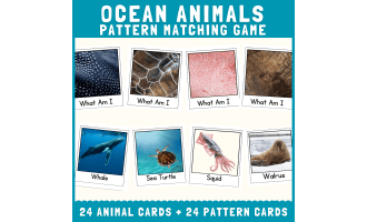 Ocean animal skin fur pattern matching cut match science activities