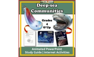 Ocean Animals Deep-sea Community PowerPoint and Study Guide