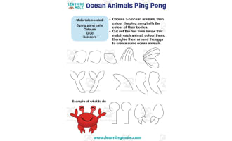 Ocean Animals Eggs Activity