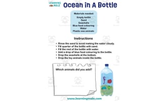 Ocean in A Bottle Activity
