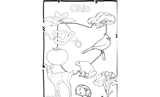 Ohio State Symbols Clip Art