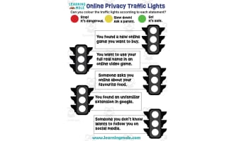Online Privacy Traffic Lights Activity