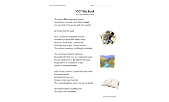 OO Like Book Reading Comprehension Worksheet