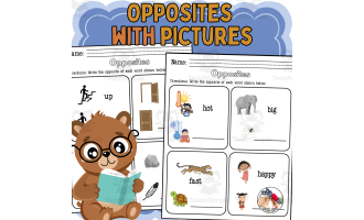 Opposites with Pictures