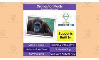 Orangutan Facts | Interactive Science Lesson | Micro-Learning Deck