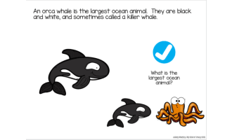 Orca Whale Adapted Book Slide Deck for Special Ed