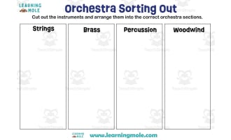 Orchestra Instruments Activity