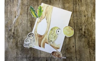 Owl Watercolor Journaling Set