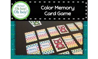 Owls by Color Memory Card Game