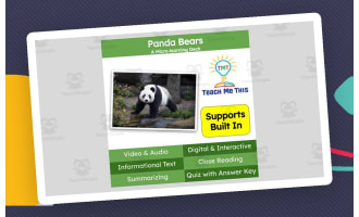 Panda Bears | Interactive Science Lesson | Micro-Learning Deck