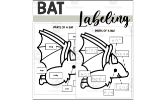 Parts of a Bat: Labeling a Bat