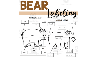 Parts of a Bear: Labeling a Bear