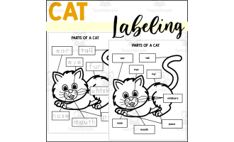 Parts of a Cat: Labeling a Cat