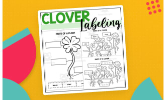 Parts of a Clover: Labeling a Clover Plant