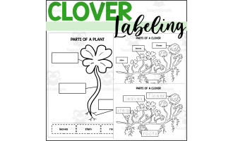 Parts of a Clover: Labeling a Clover Plant