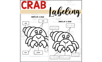 Parts of a Crab: Labeling a Crab