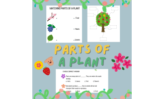 Parts of a Plant Worksheets | Grade 1 Science & Biology