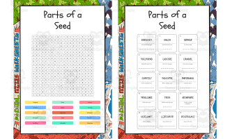 Parts of a Seed word search, scramble and crossword