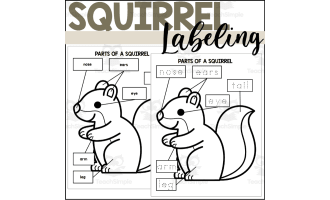 Parts of a Squirrel: Labeling a Squirrel