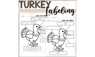 Parts of a Turkey: Labeling a Turkey
