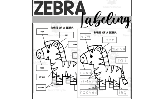 Parts of a Zebra: Labeling a Zebra