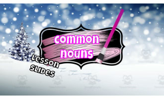 Parts of Speech: Common Nouns Lesson