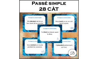 Passé simple - 28 CÀT / Past simple French grammar