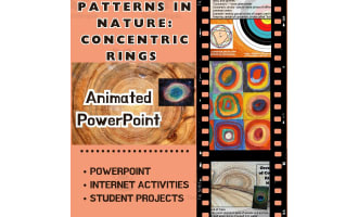 Patterns in Nature - Concentric Rings